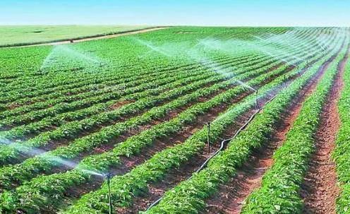 全黄三级插逼视频农田高 效节水灌溉
